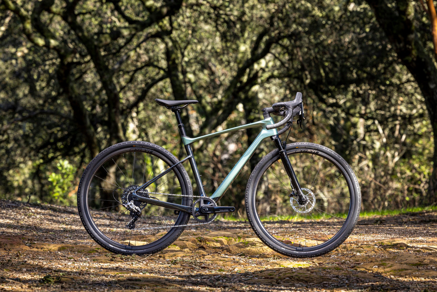 GIANT REVOLT X ADVANCED PRO 2 GRAVEL BIKE 2023 - MISTY FOREST