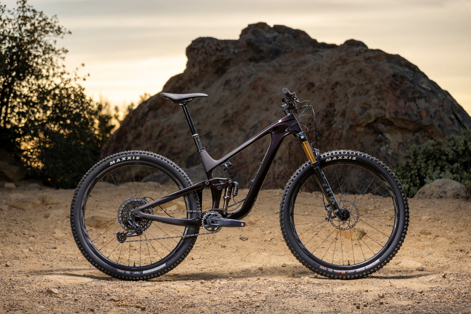 GIANT TRANCE ADVANCED PRO 29 1 MTB BIKE 2023 GLOSS CORDOVAN/MATT CORDOVAN
