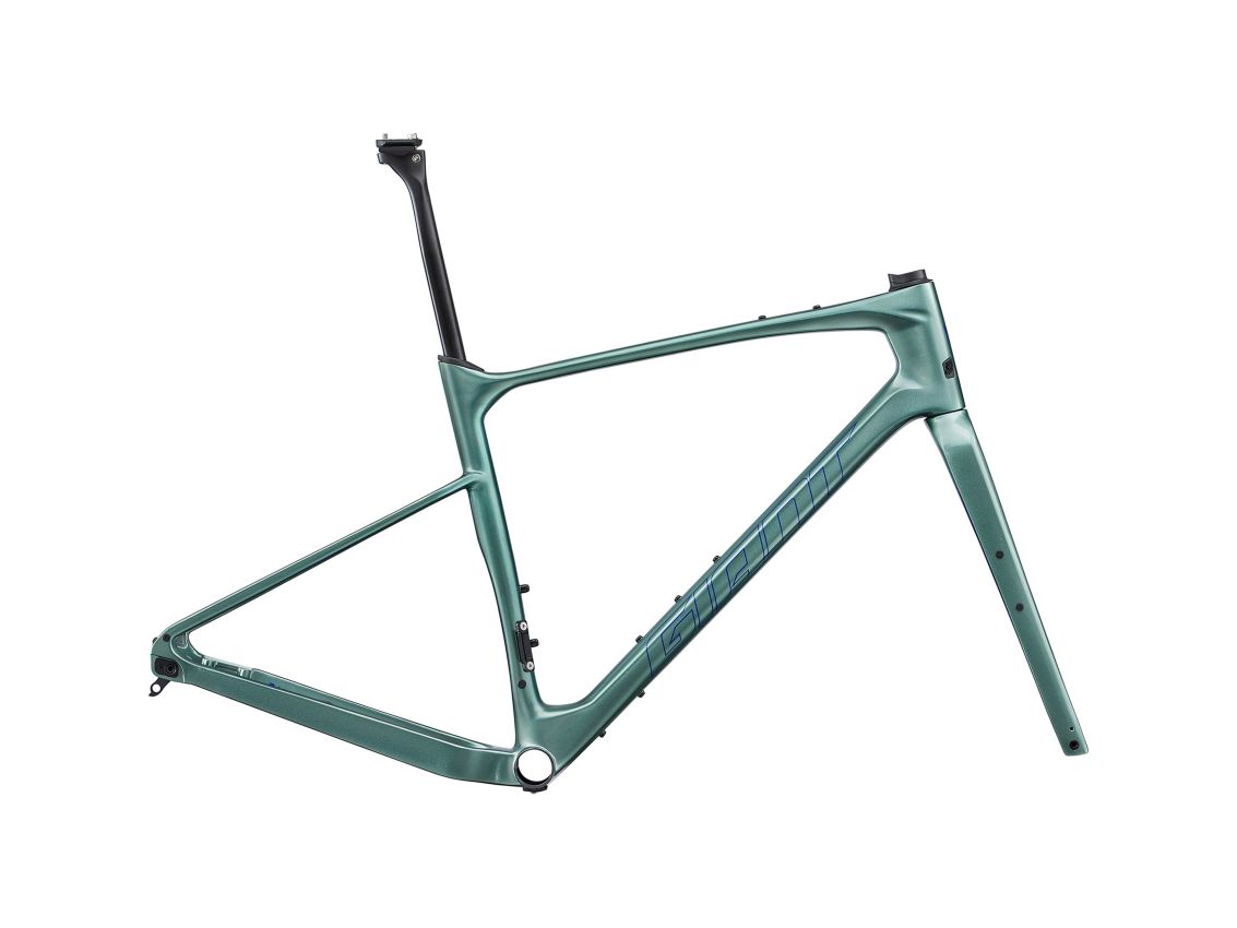 GIANT REVOLT ADVANCED PRO FRAMESET 2024 GLOSS MISTY FOREST