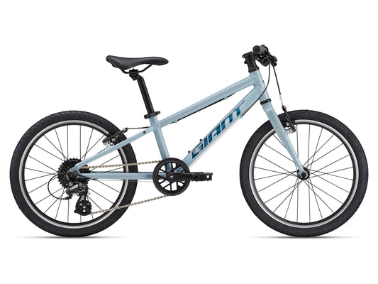 GIANT ARX 20 KID'S BIKE 2025 SOAP SUDS
