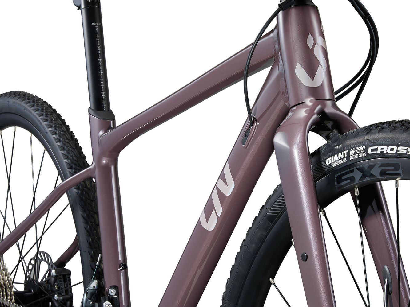 GIANT LIV DEVOTE 1 GRAVEL BIKE 2024 - CHARCOAL PLUM