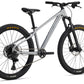 GIANT STP 26 KID'S BIKE 2025 QUICKSILVER
