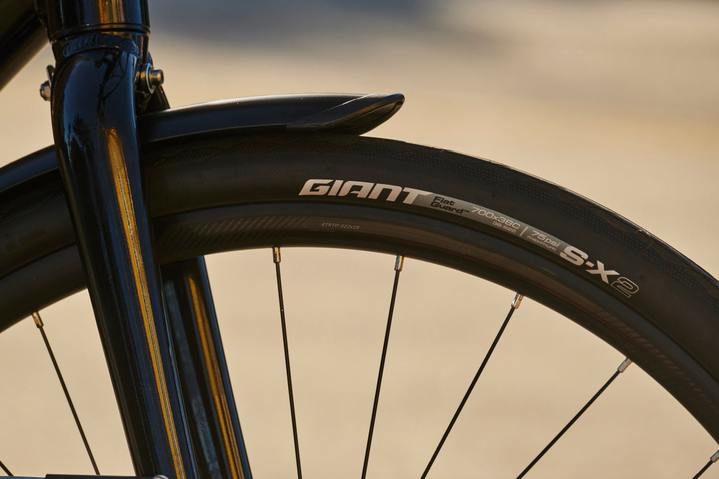 GIANT ESCAPE 2 CITY DISC HYBRID BIKE 2024 GLOSS PANTHER