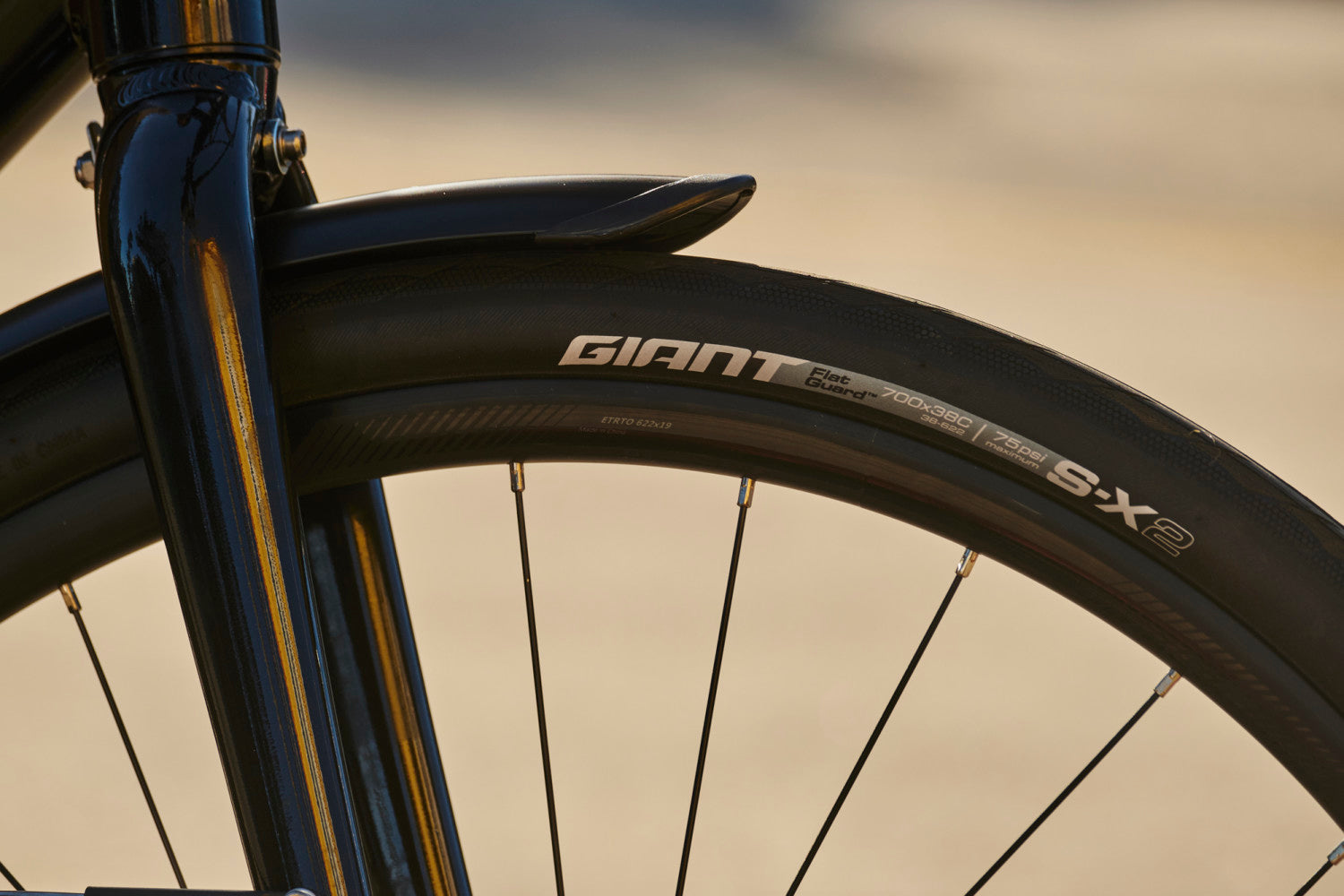 GIANT ESCAPE 2 CITY DISC HYBRID BIKE 2024 GLOSS PANTHER
