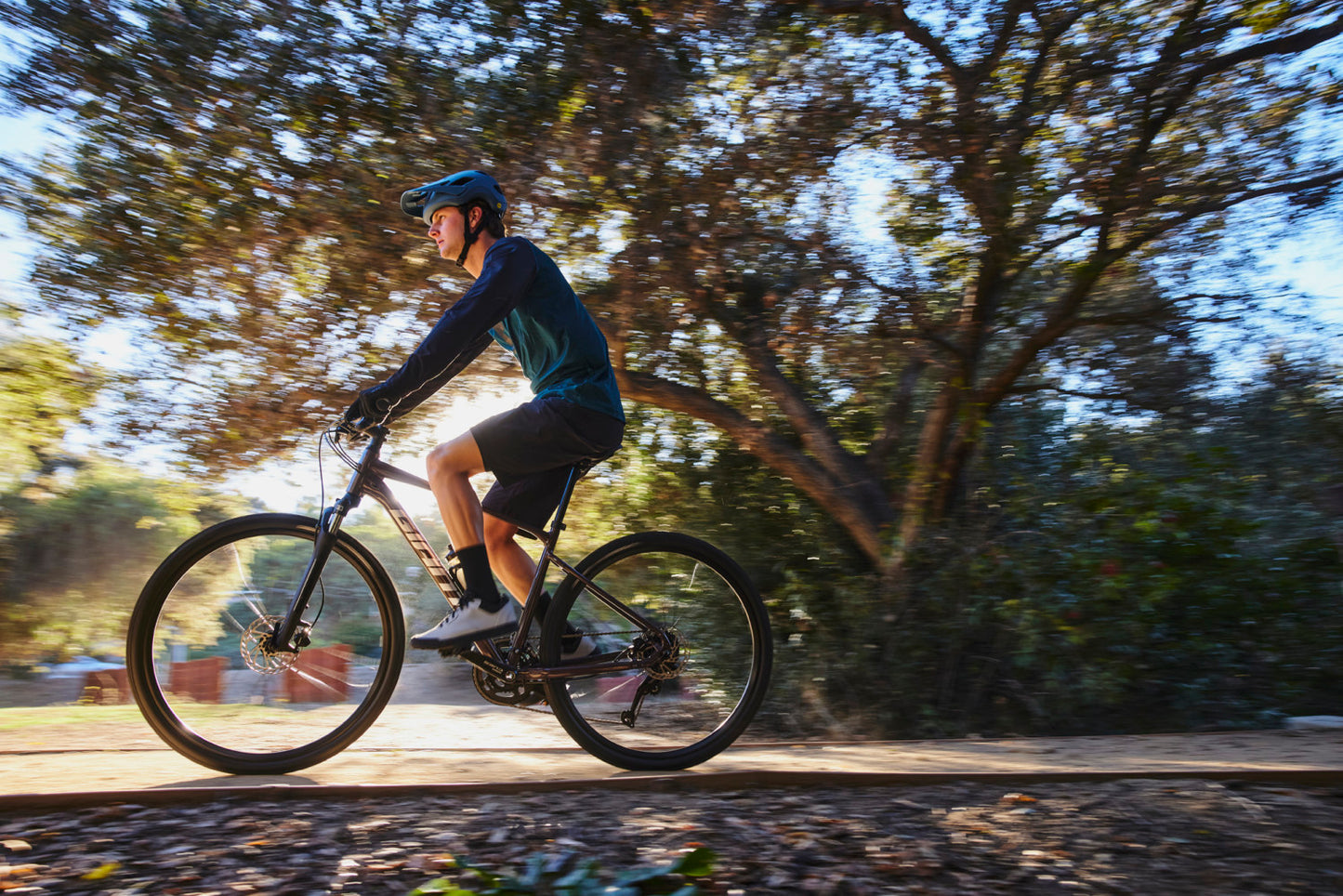 GIANT ROAM 2 DISC HYBRID BIKE 2024 GLOSS CHARCOAL PLUM/SILVER