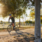GIANT ROAM 2 DISC HYBRID BIKE 2024 GLOSS CHARCOAL PLUM/SILVER