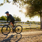 GIANT ROAM 2 DISC HYBRID BIKE 2024 GLOSS CHARCOAL PLUM/SILVER