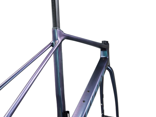 GIANT TCR ADVANCED PRO FRAMESET 2025 GLOSS BLUE DRAGONFLY/BRUSHED FOIL