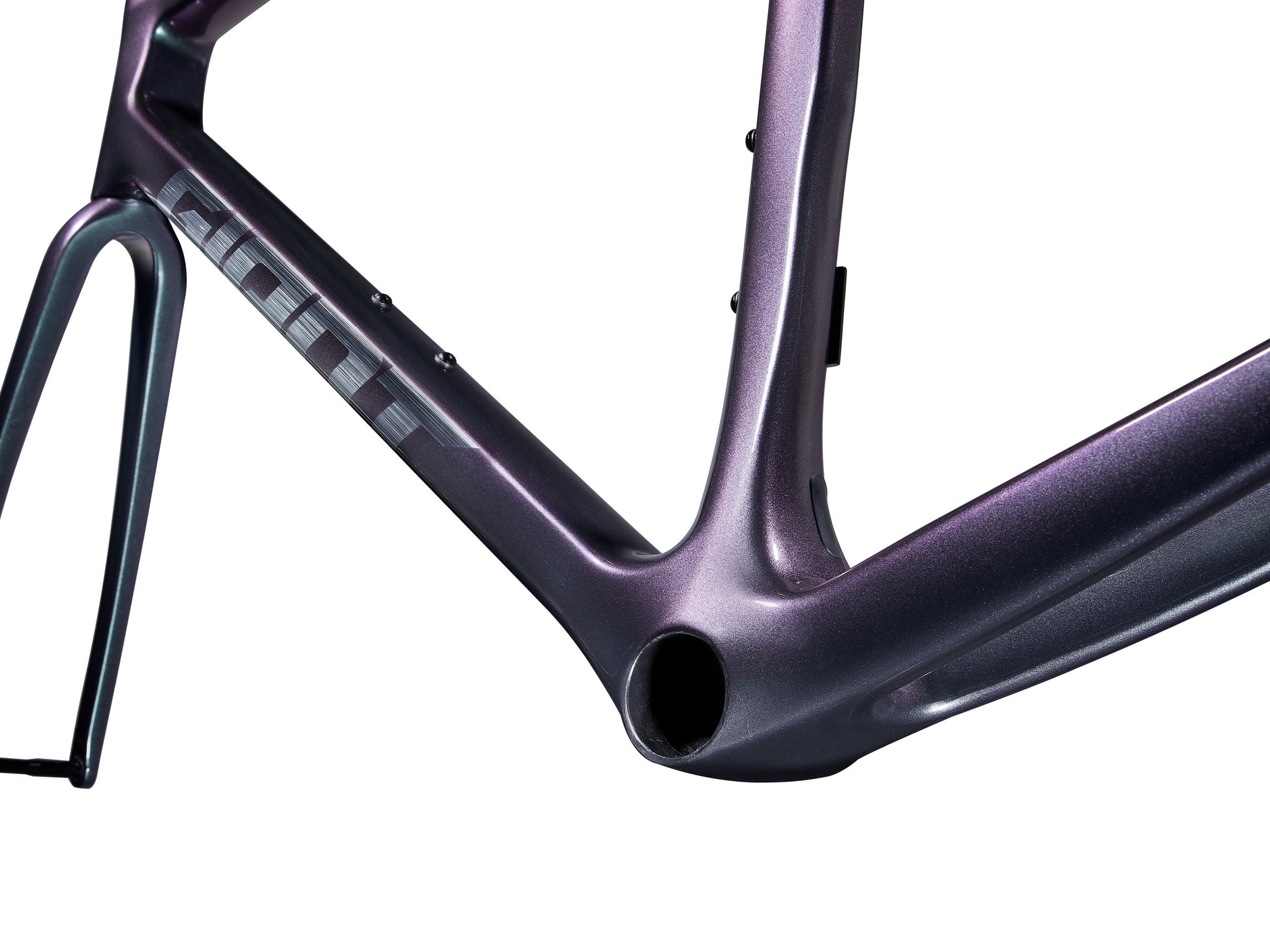 GIANT TCR ADVANCED PRO FRAMESET 2025 GLOSS BLUE DRAGONFLY/BRUSHED FOIL