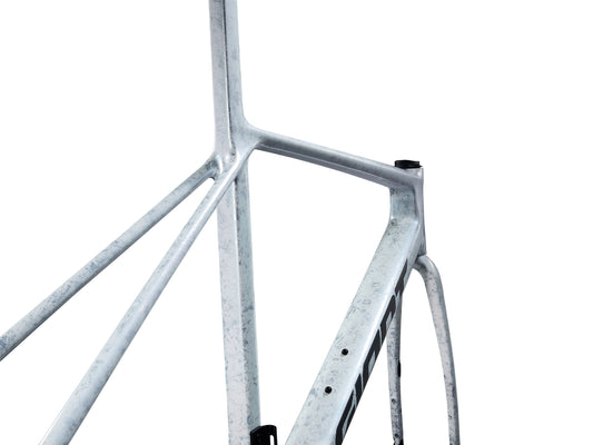 GIANT TCR ADVANCED SL FRAMESET 2025 OPAL BRUSHED CHROME