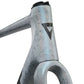 GIANT TCR ADVANCED SL FRAMESET 2025 OPAL BRUSHED CHROME