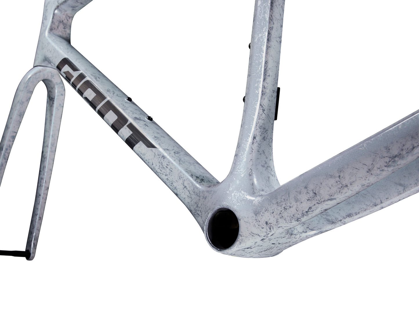 GIANT TCR ADVANCED SL FRAMESET 2025 OPAL BRUSHED CHROME