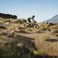 GIANT REVOLT ADVANCED 0 GRAVEL BIKE 2025 GLOSS AURORA NOISE