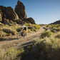 GIANT REVOLT ADVANCED 0 GRAVEL BIKE 2025 GLOSS AURORA NOISE