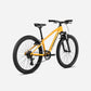 ORBEA MX JUNIOR 24 XC KID'S BIKE 2024