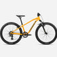 ORBEA MX JUNIOR 24 XC KID'S BIKE 2024