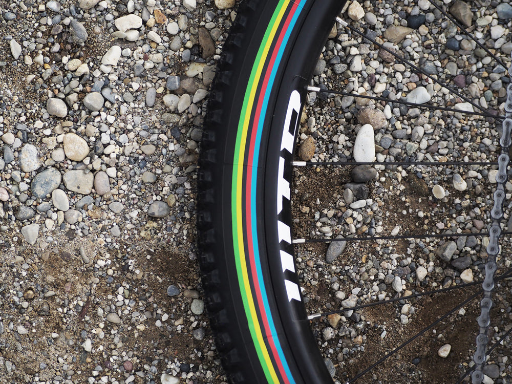 VITTORIA BARZO TLR UCI-EDITION FOLDING TYRE