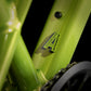 TREK WAHOO TRAIL 24 KIDS BIKE 2025 POWER SURGE
