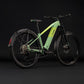 CUBE REACTION HYBRID ONE 720 FE HARDTAIL eMTB BIKE 2027 CACTUS 'N' BLACK