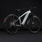 CUBE REACTION HYBRID SLX 800 FE HARDTAIL eMTB BIKE 2027 PLATINUM 'N' REFLEX