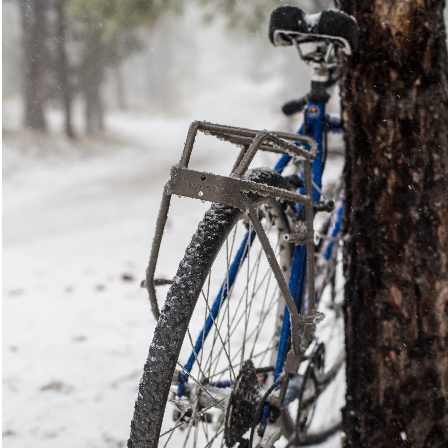 BLACKBURN OUTPOST REAR TOURING RACK V2