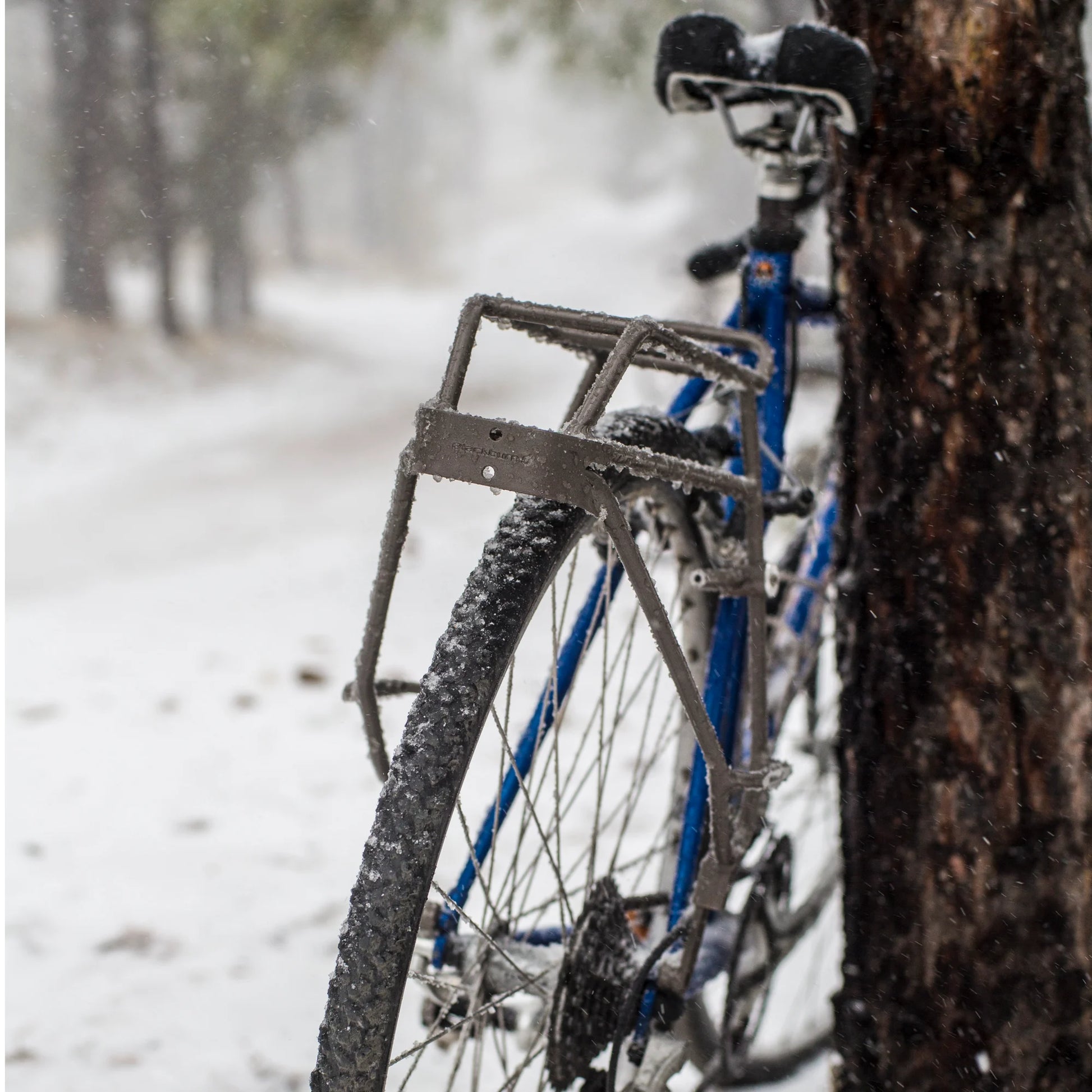 BLACKBURN OUTPOST REAR TOURING RACK V2