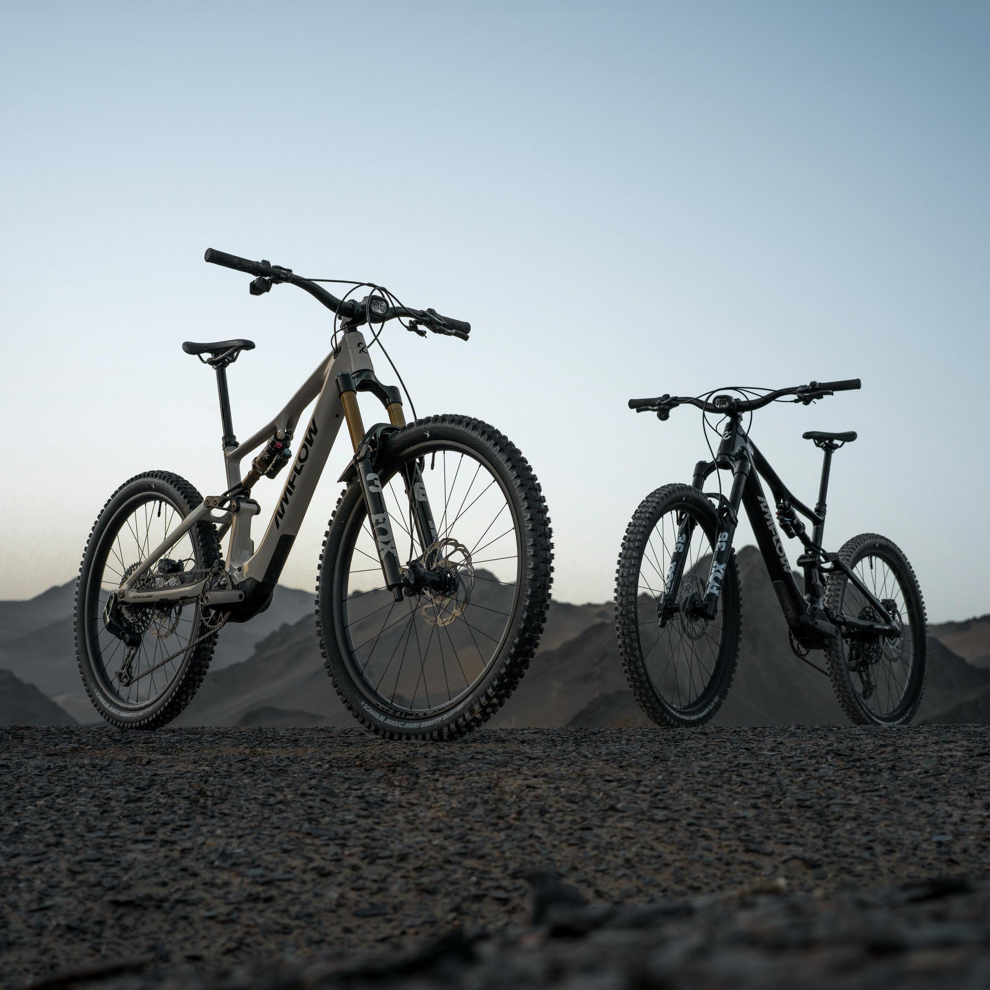 AMFLOW PX CARBON PRO 700Wh FULL SUSPENSION eMTB BIKE 2027 MOONSTONE GREY