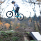 GIANT STP 20 KID'S JUMP BIKE 2026 TEAL