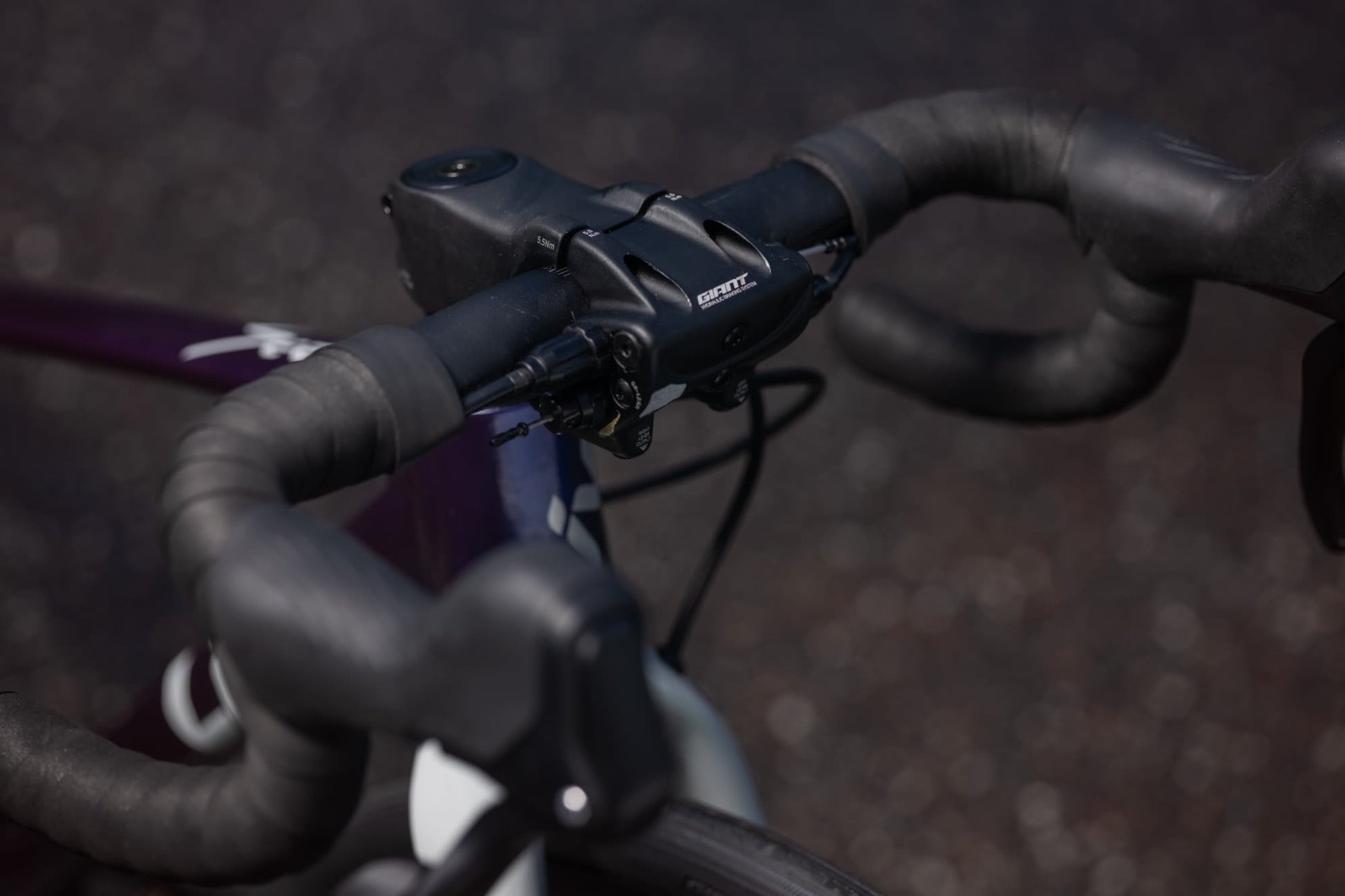 GIANT LIV SEEK 2 KID'S ROAD BIKE 2026 PURPLE HAZE
