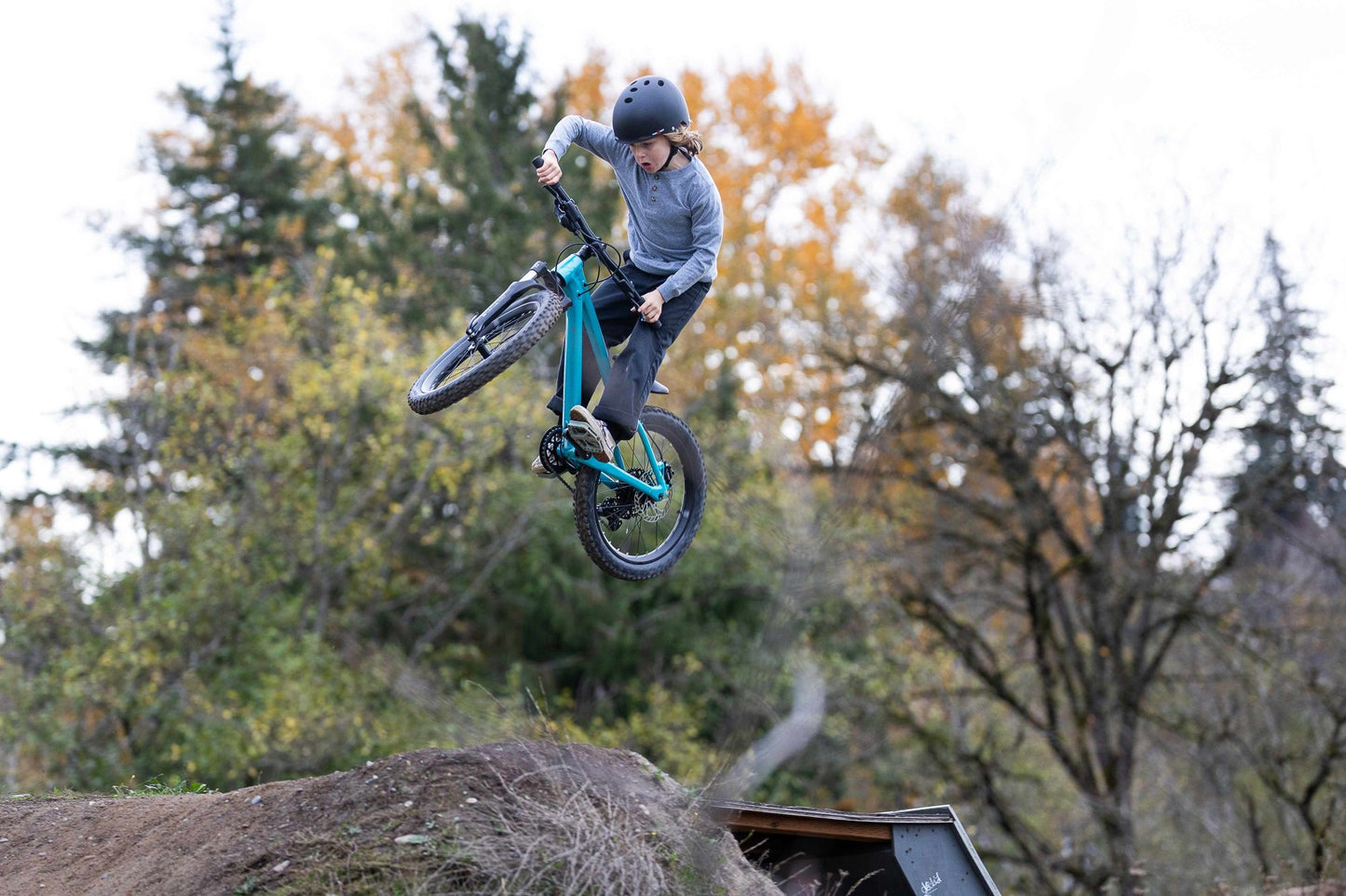 GIANT STP 20 KID'S JUMP BIKE 2026 TEAL