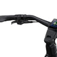 GIANT ANYTOUR E+ 1 LST 800Wh ELECTRIC HYBRID BIKE 2027 PANTHER