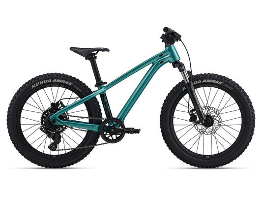 GIANT STP 20 KID'S JUMP BIKE 2026 TEAL