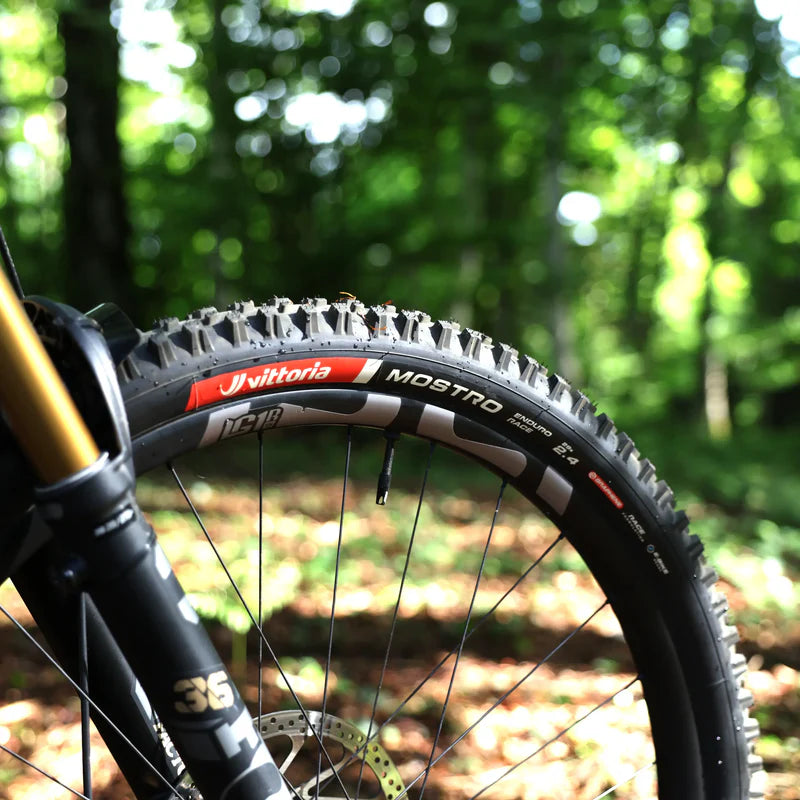 VITTORIA MOSTRO ENDURO 29" TLR 4C GRAPHENE 2.0 FOLDING TYRE