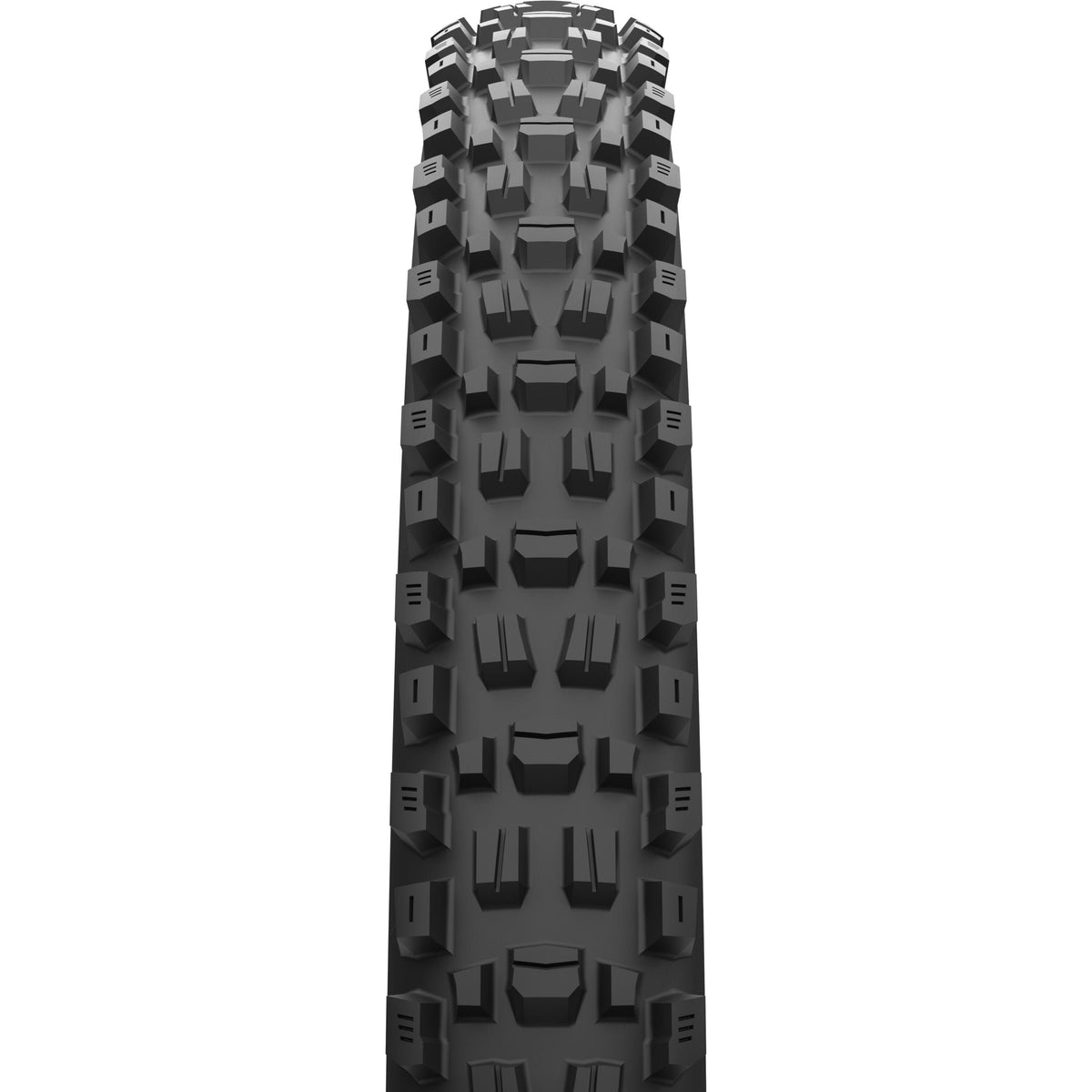 MAXXIS ASSEGAI WT 29x2.50 EXO+ TR MAXXTERRA E25 FOLDING TYRE