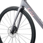 GIANT LIV LANGMA ADVANCED 2 (PRO COMPACT) ROAD BIKE 2026 NATIVE GREY