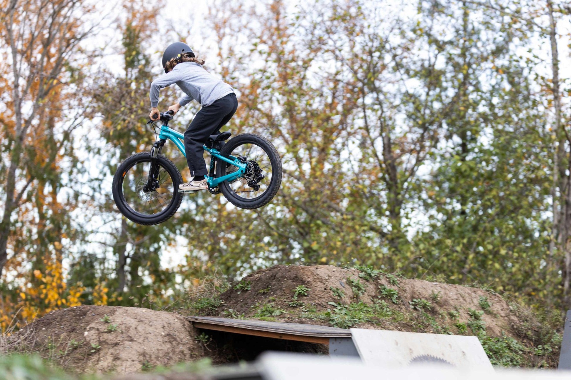GIANT STP 20 KID'S JUMP BIKE 2026 TEAL