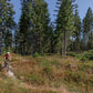 CUBE NUROAD C:62 EX GRAVEL BIKE 2027 ARTLINE