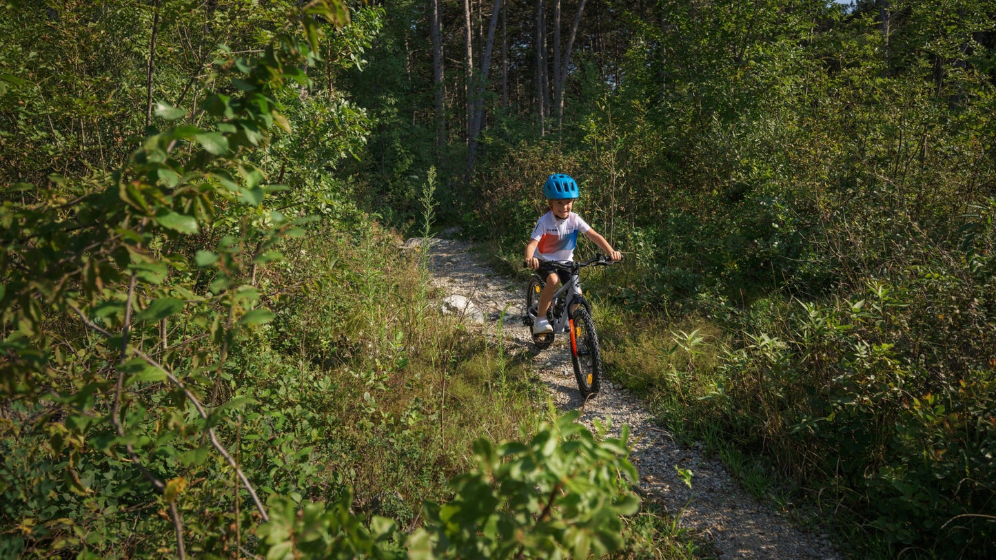 CUBE REACTION 240 PRO HARDTAIL KID'S MTB BIKE 2027 PRIZM-POLISHED 'N' STEEL