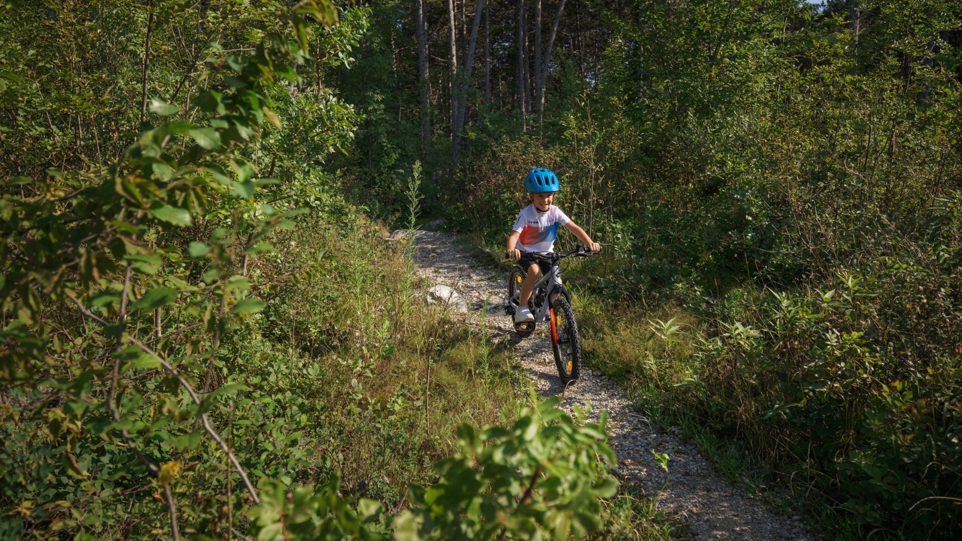 CUBE REACTION 240 PRO HARDTAIL KID'S MTB BIKE 2027 PRIZM-POLISHED 'N' STEEL