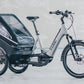 CUBE TRIKE FAMILY HYBRID 750 eBIKE 2025 SWAMPGREY 'N' REFLX