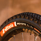 VITTORIA PEYOTE XC TRAIL 29" TLR GRAPHENE 2.0 FOLDING TYRE BROWN