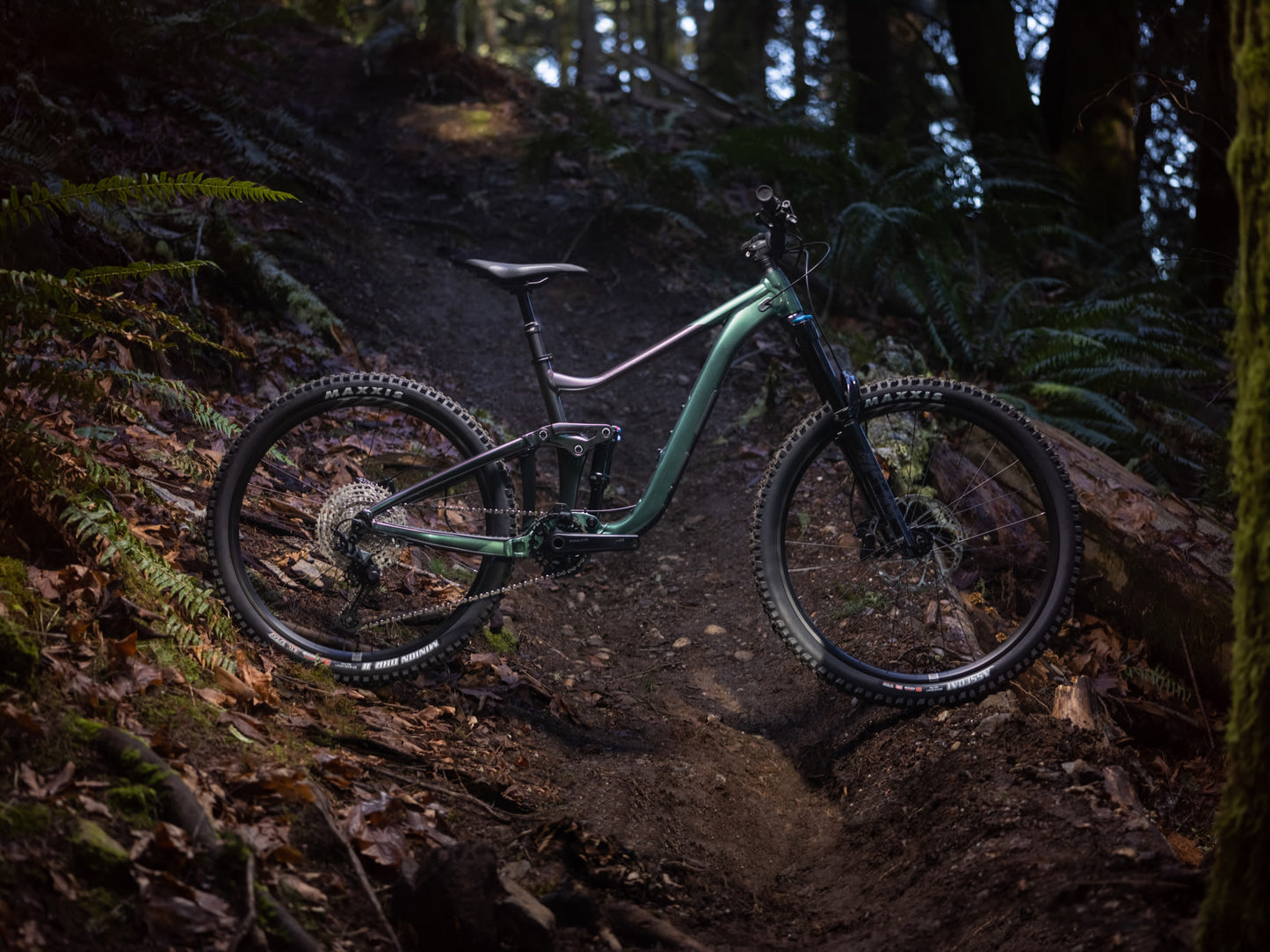 GIANT REIGN 2 FULL SUSPENSION MTB BIKE 2026 MINERAL GREEN