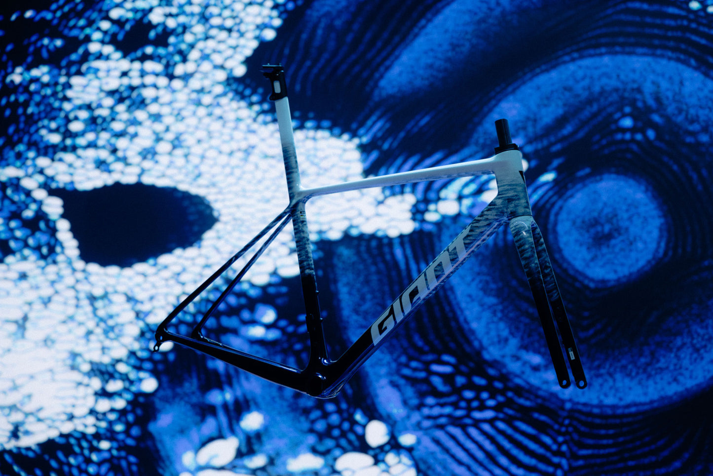 GIANT TCR ADVANCED SL ROAD FRAMESET POLAR TIDE