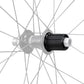SHIMANO WH-RS710-C32-TL-R 11/12-SPEED FREEHUB BODY